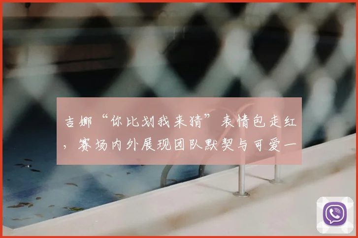 吉娜“你比划我来猜”表情包走红，赛场内外展现团队默契与可爱一面