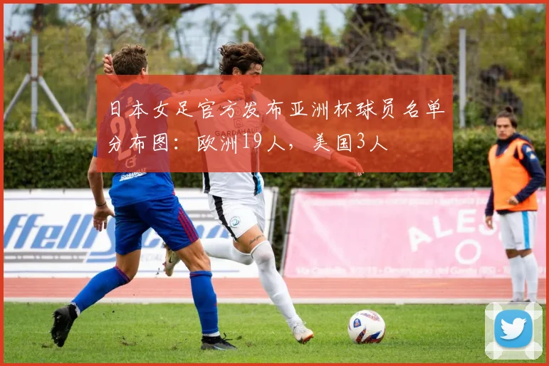 日本女足官方发布亚洲杯球员名单分布图：欧洲19人，美国3人